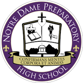 NDP logo