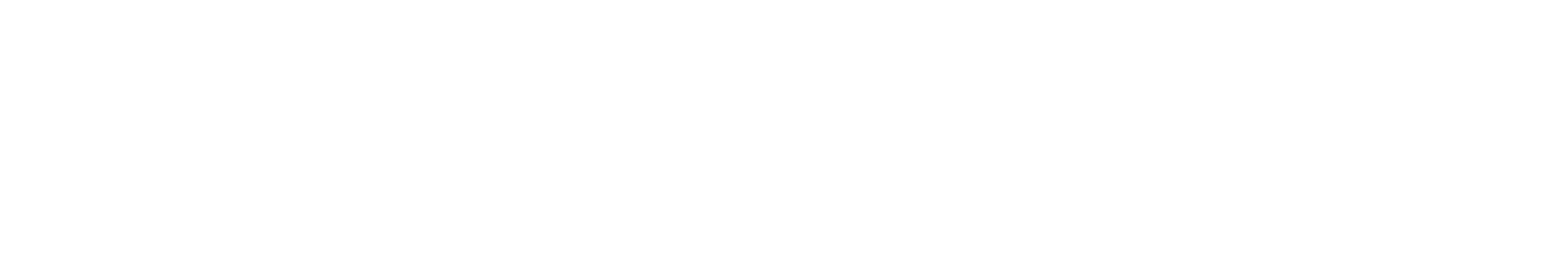 Data Networks logo white