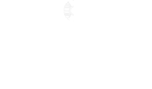 Jenne logo white
