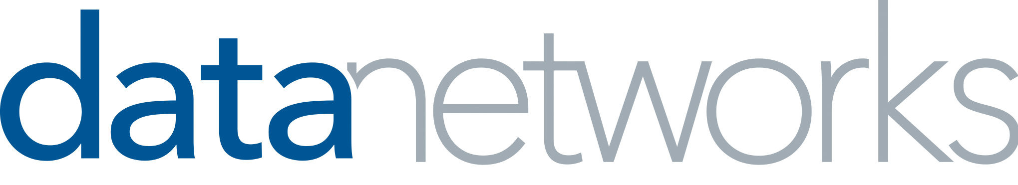 Data Networks logo